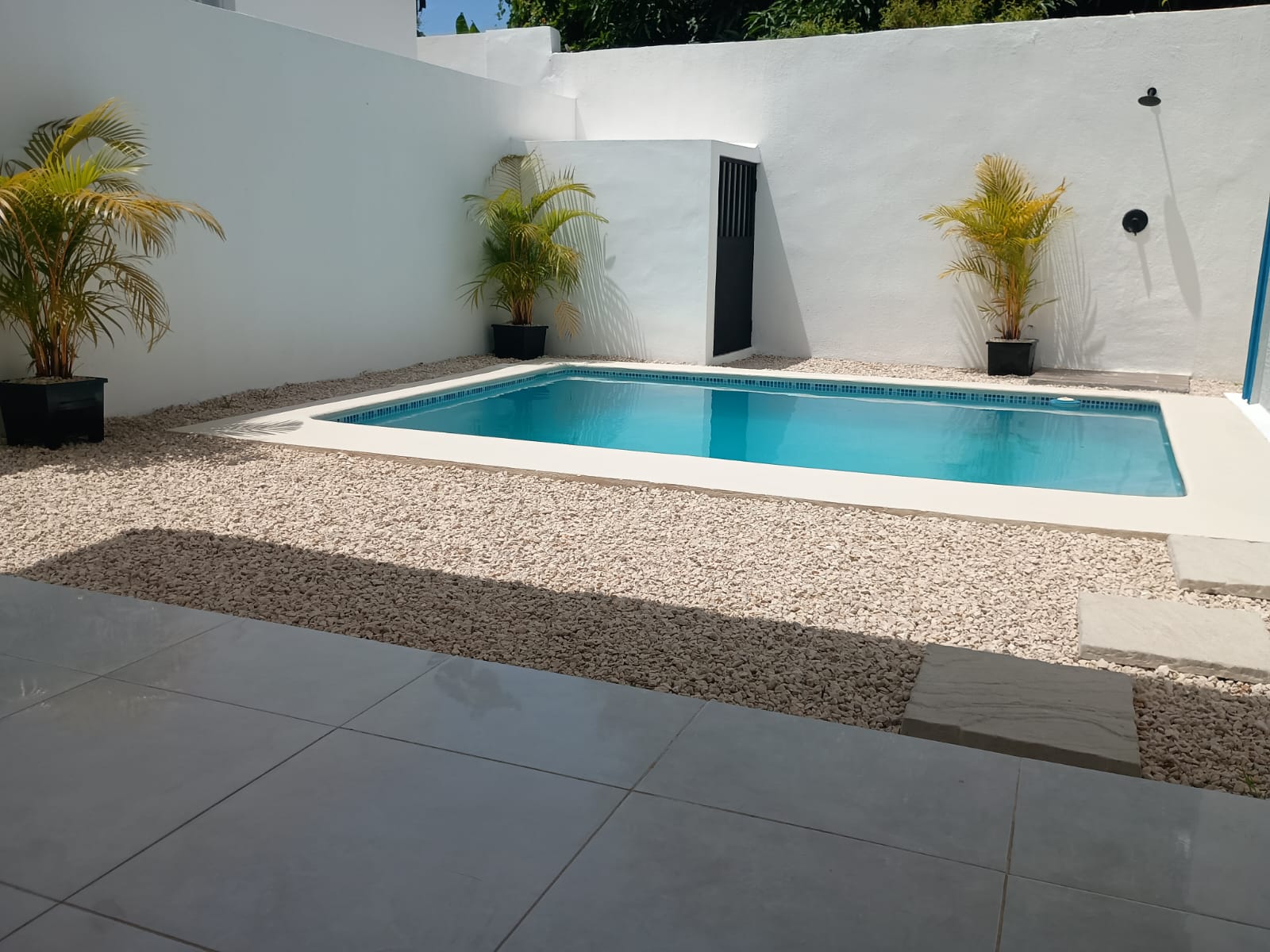buyDRproperty Modern villa with a pool and palm trees in Puerto Plata Sosua Real Estate