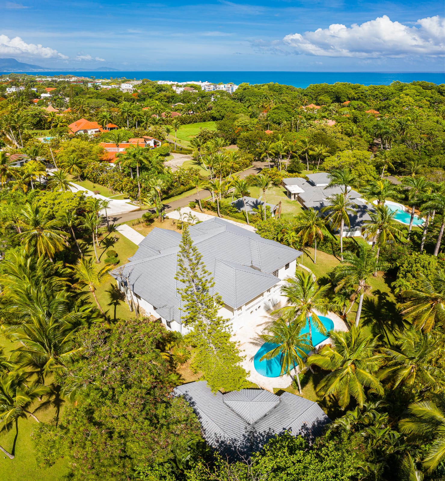 buyDRproperty Luxury Caribbean villa with pool and ocean view surrounded by palm trees. Sosua Real Estate