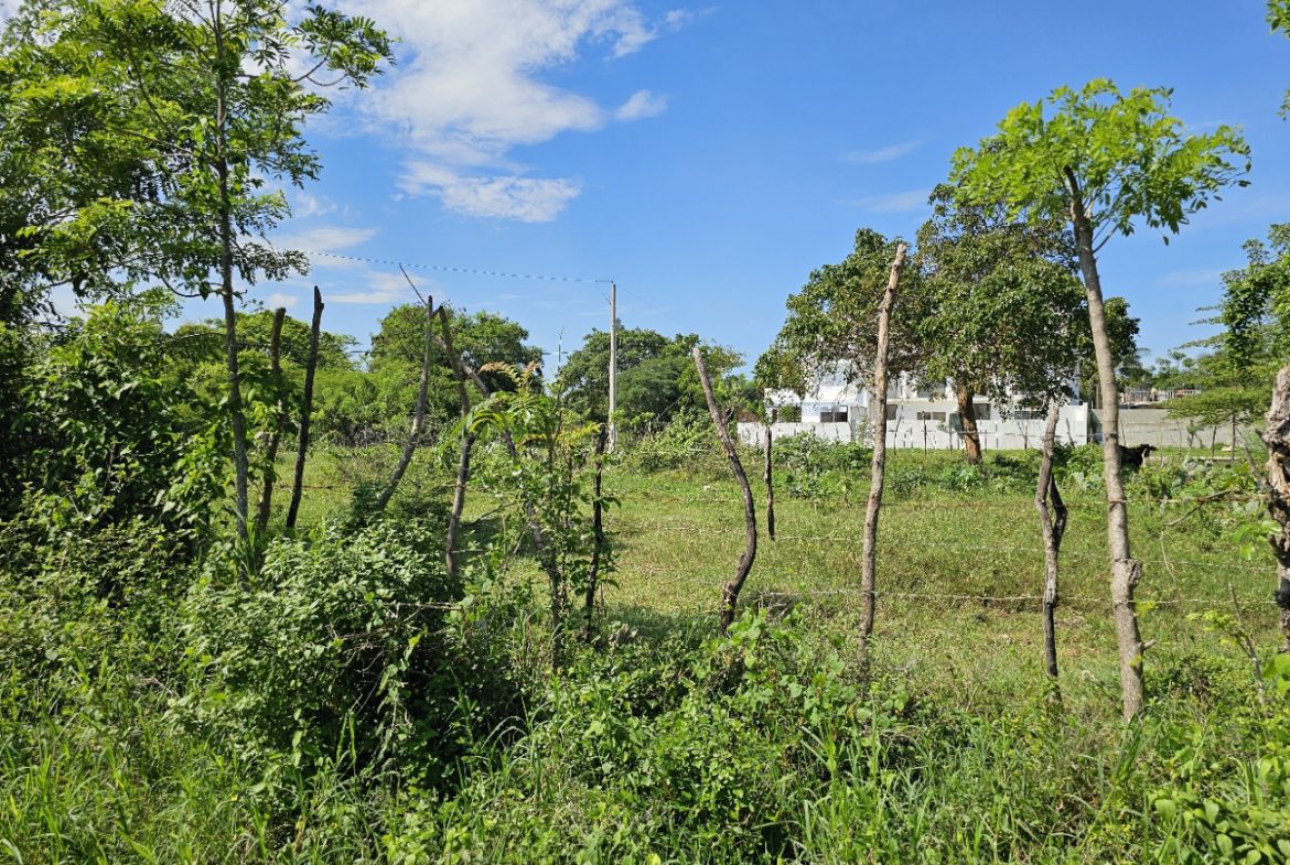 buyDRproperty Lush green field with a rustic wooden fence and trees under a bright blue sky. Sosua Real Estate