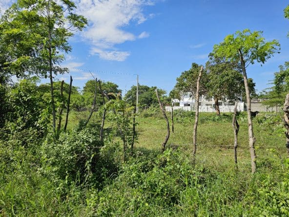 L5935PLCH-f-592x444 SOSUA Properties