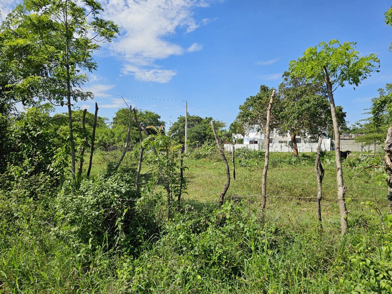 buyDRproperty Lush green field with a rustic wooden fence and trees under a bright blue sky. Sosua Real Estate