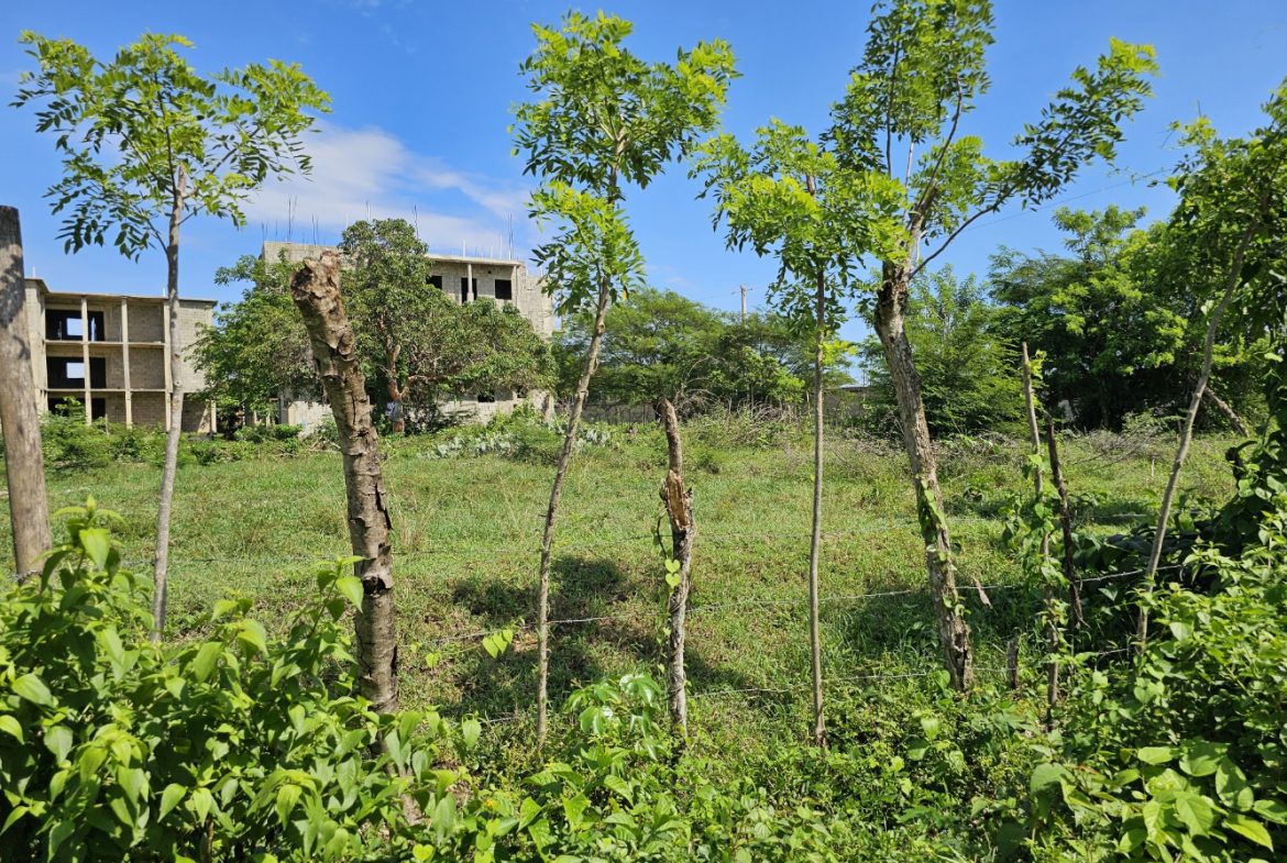 buyDRproperty Green landscape with trees and an unfinished building under a blue sky Sosua Real Estate