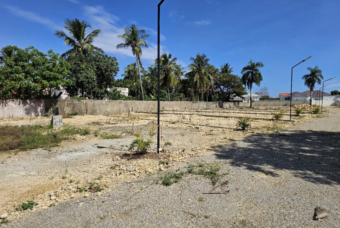 buyDRproperty Vacant lots with palm trees under blue sky, ideal for real estate development. Sosua Real Estate