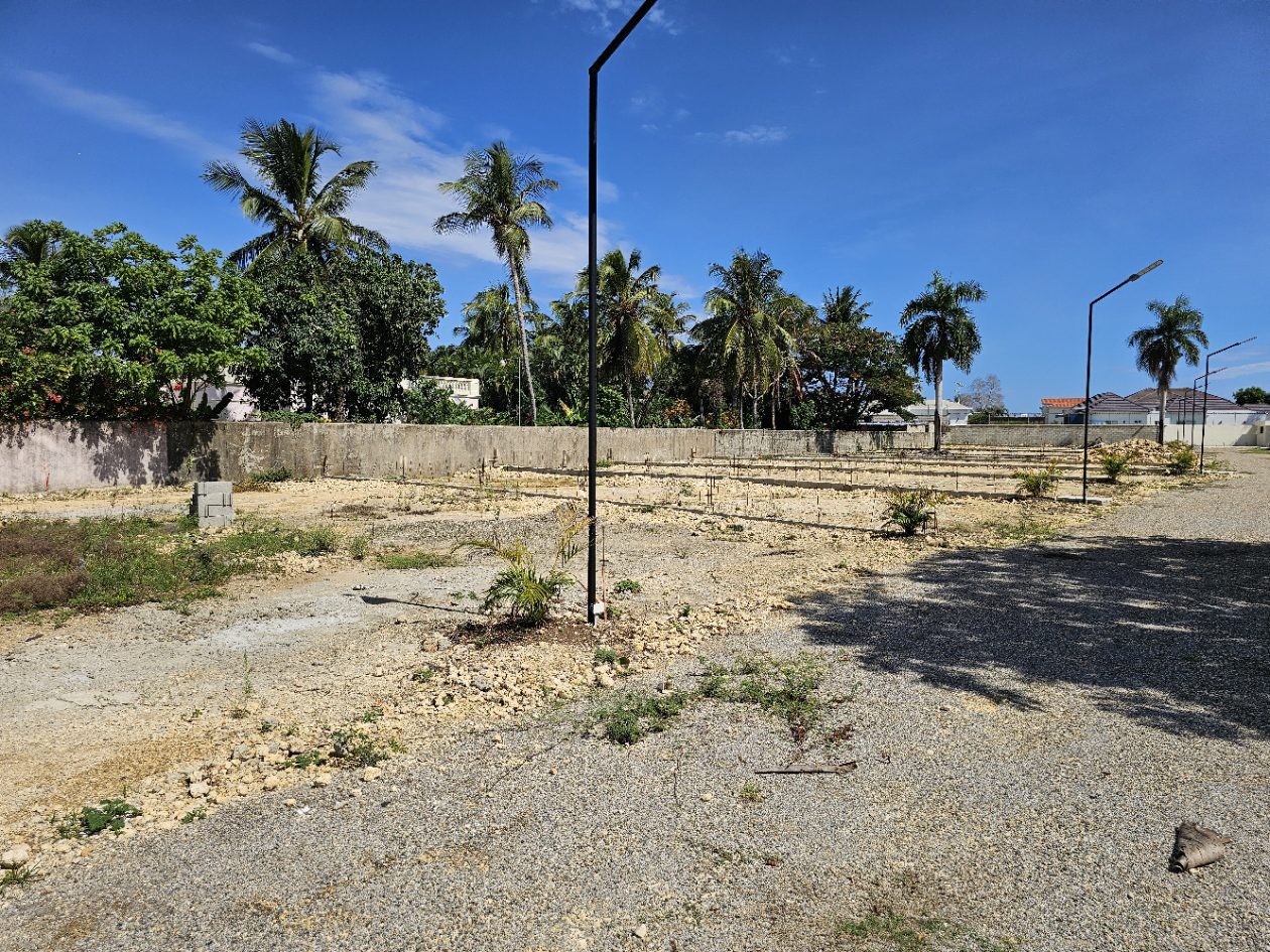 buyDRproperty Vacant lots with palm trees under blue sky, ideal for real estate development. Sosua Real Estate