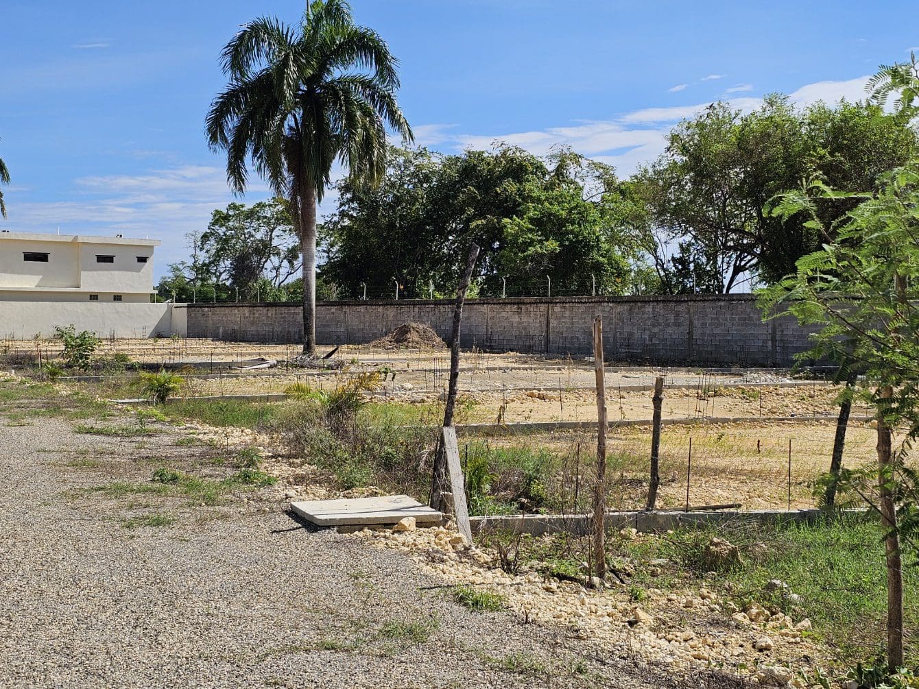 buyDRproperty Construction site with foundations laid, palm tree, and block wall under a blue sky. Sosua Real Estate