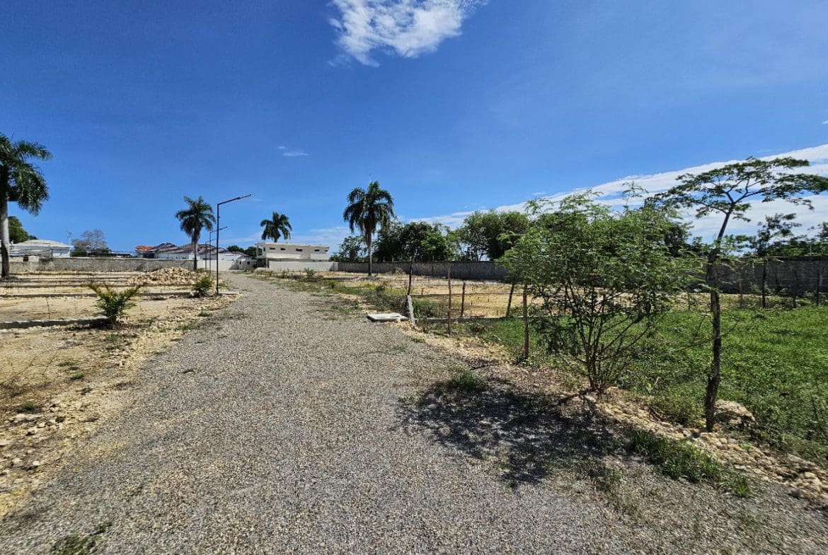 buyDRproperty Gravel road leading through vacant land plots under a bright blue sky with palm trees. Sosua Real Estate