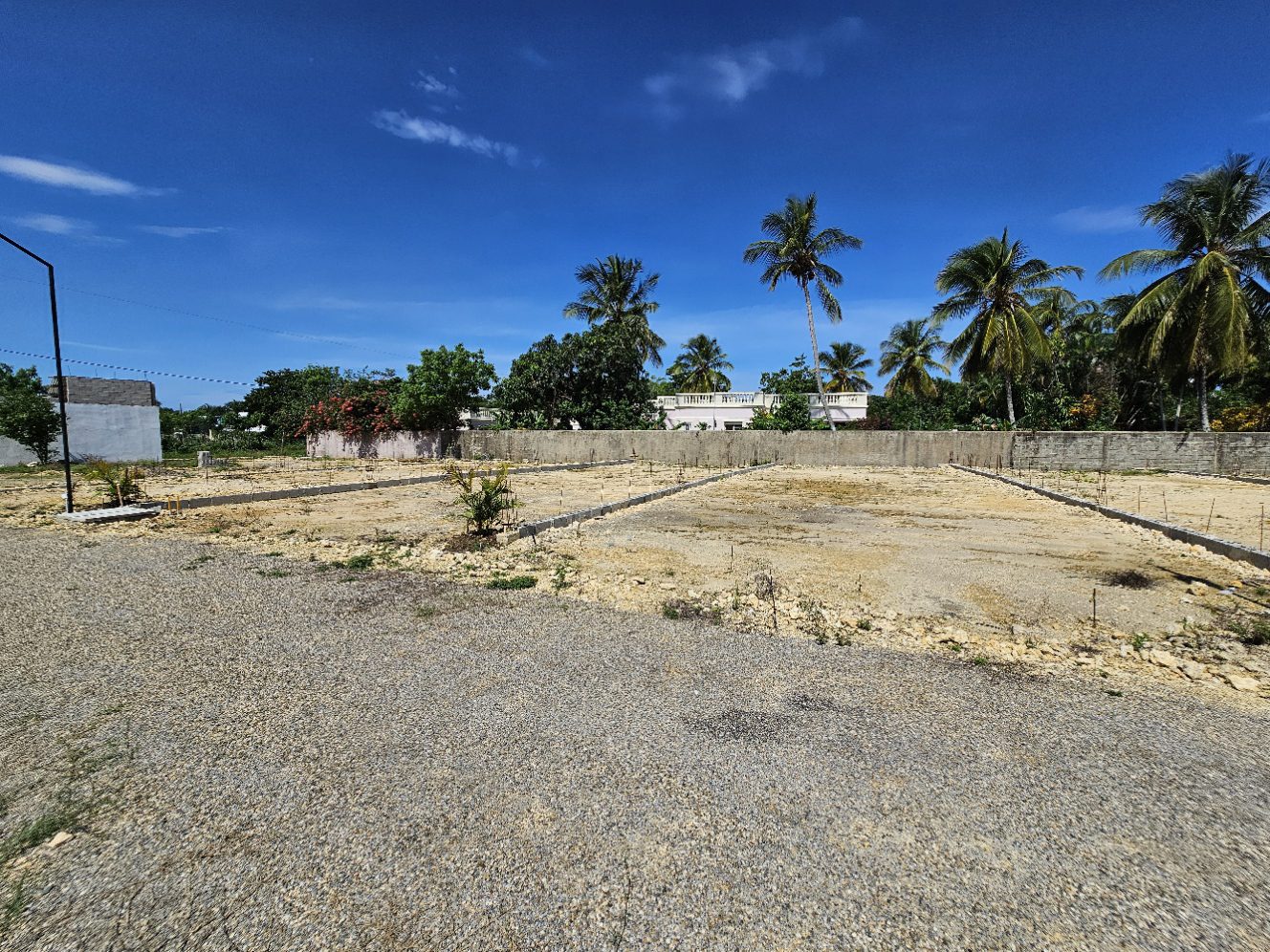 buyDRproperty Vacant land plots in tropical setting with palm trees under a bright blue sky. Sosua Real Estate