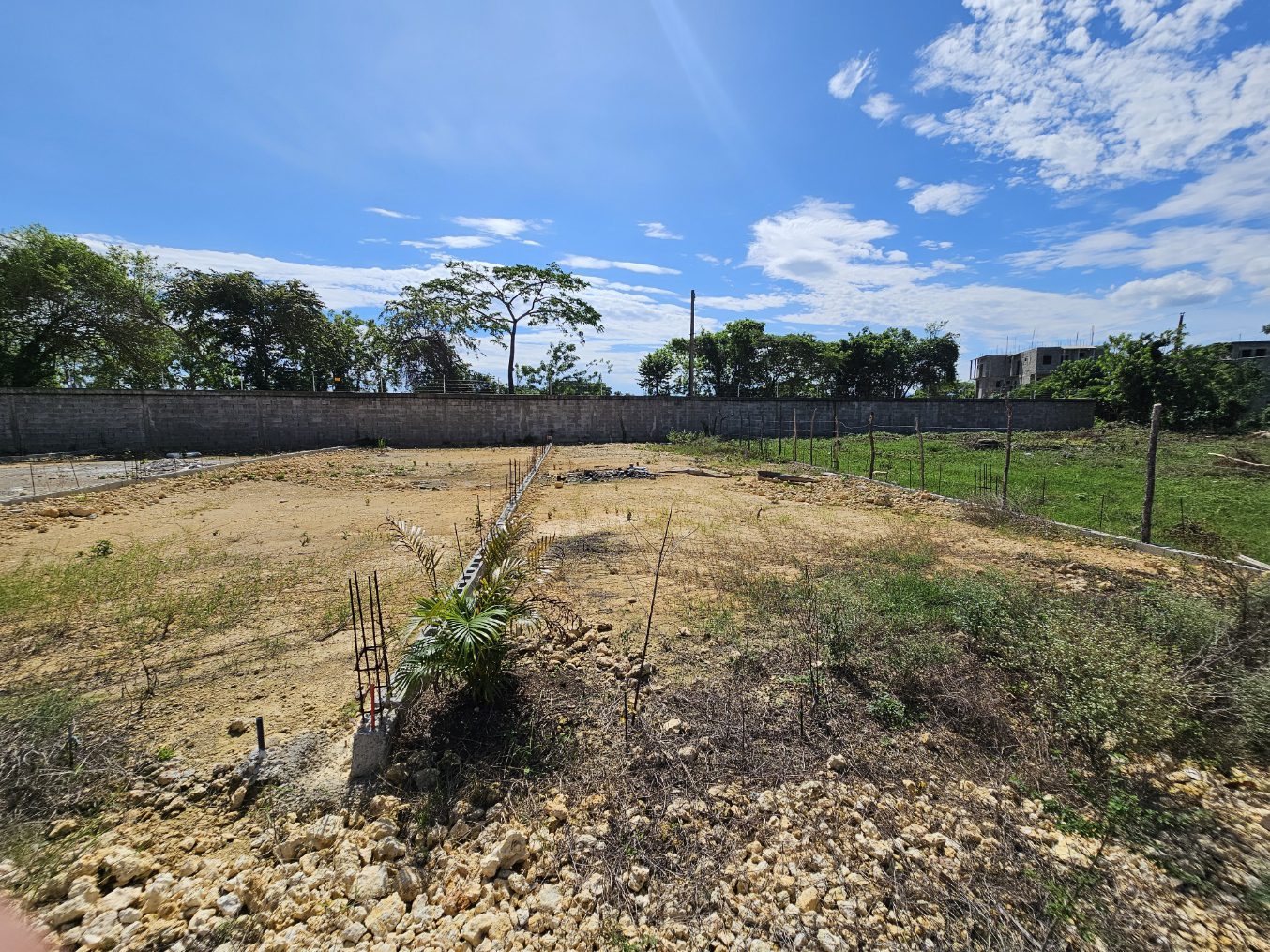 buyDRproperty Vacant lot with partial concrete wall and vegetation under a blue sky. Sosua Real Estate