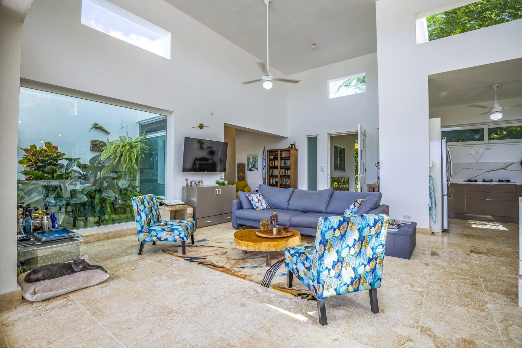 buyDRproperty Cozy living room with blue sofa, patterned chairs, and indoor plants. Sosua Real Estate