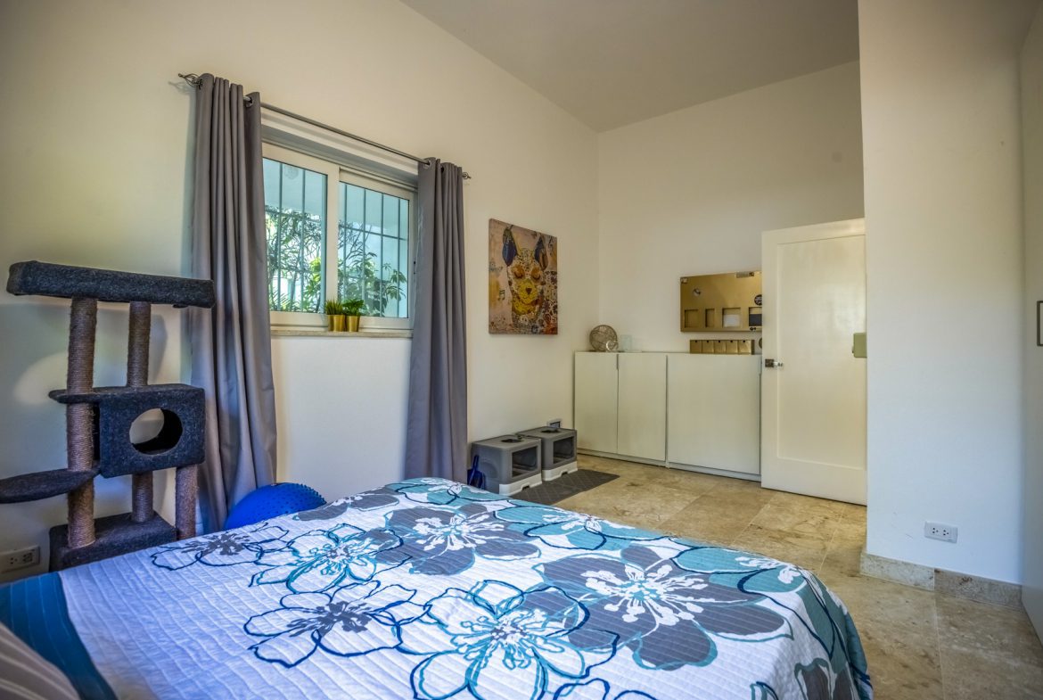 buyDRproperty Bedroom with blue floral bedding, cat tree, and window with gray curtains. Sosua Real Estate