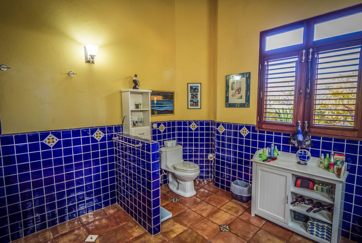 buyDRproperty Colorful bathroom with blue tile walls and natural light from the window Sosua Real Estate