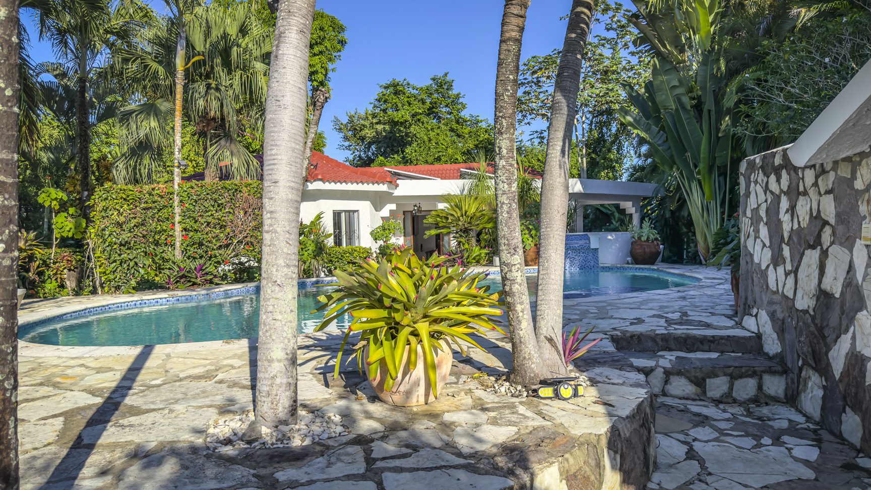 buyDRproperty Tropical villa with pool and lush landscaping, featuring palm trees and a red-tiled roof. Sosua Real Estate