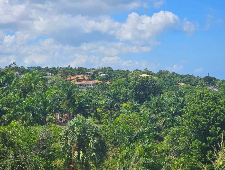 buyDRproperty Lush tropical landscape with homes in Sosua, Dominican Republic. Panorama Village ocean-view lot. Sosua Real Estate