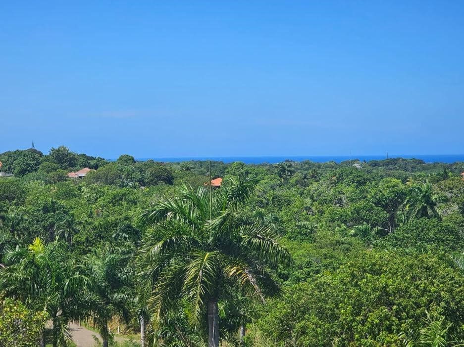 buyDRproperty Ocean view from a lush, green lot in Sosua, Dominican Republic. Panorama Village. Sosua Real Estate