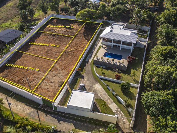 WDOver1-1-592x444 Homepage