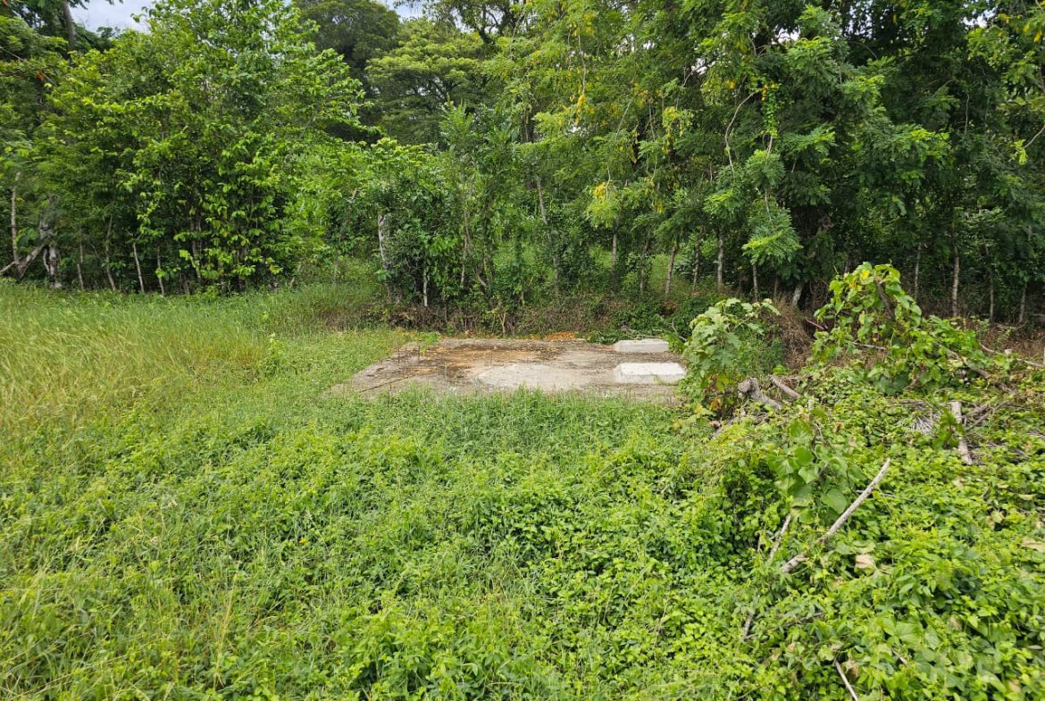 buyDRproperty Overgrown lot with construction started near Casa Linda, ideal for development. Sosua Real Estate