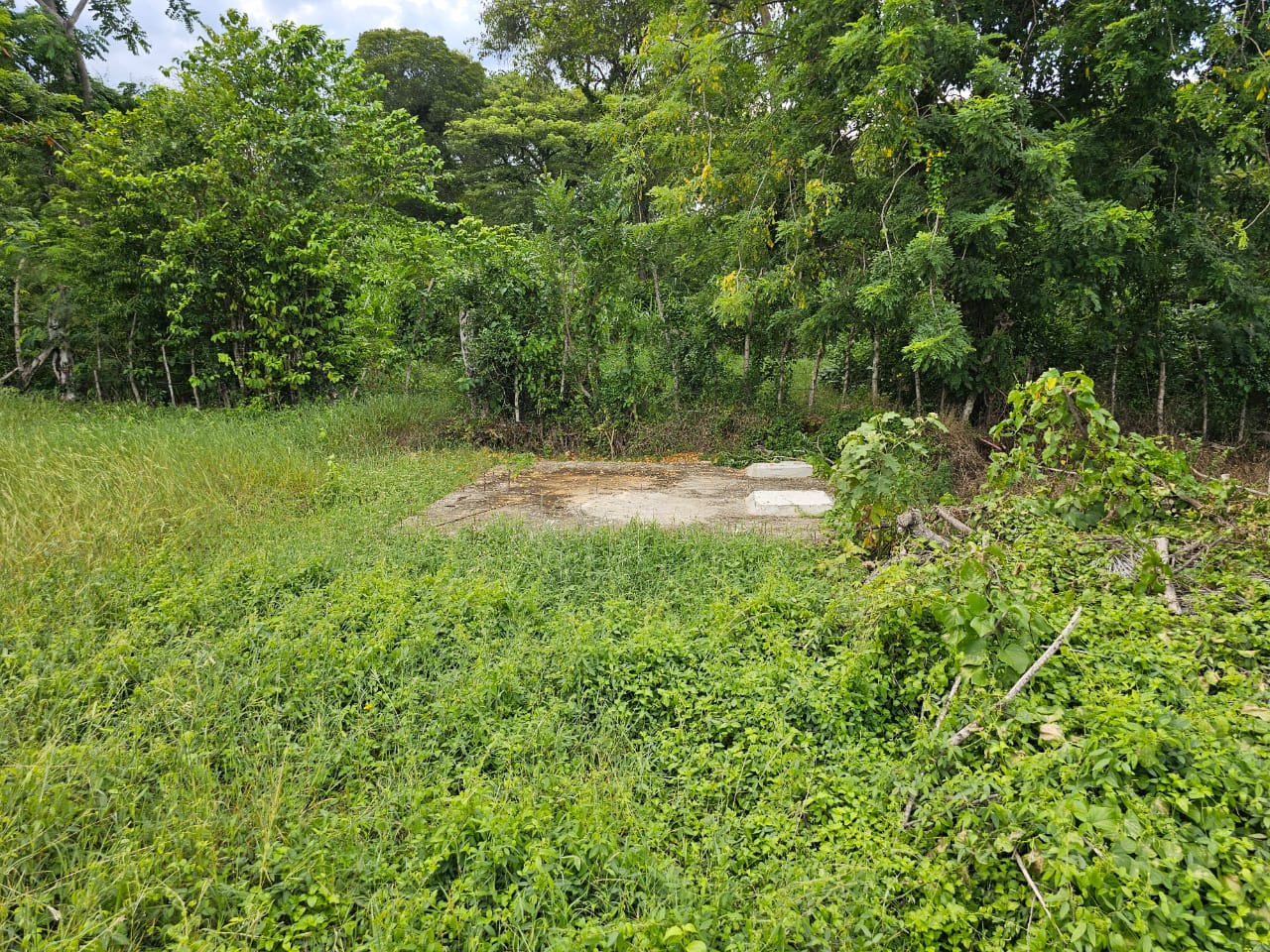 buyDRproperty Overgrown lot with construction started near Casa Linda, ideal for development. Sosua Real Estate