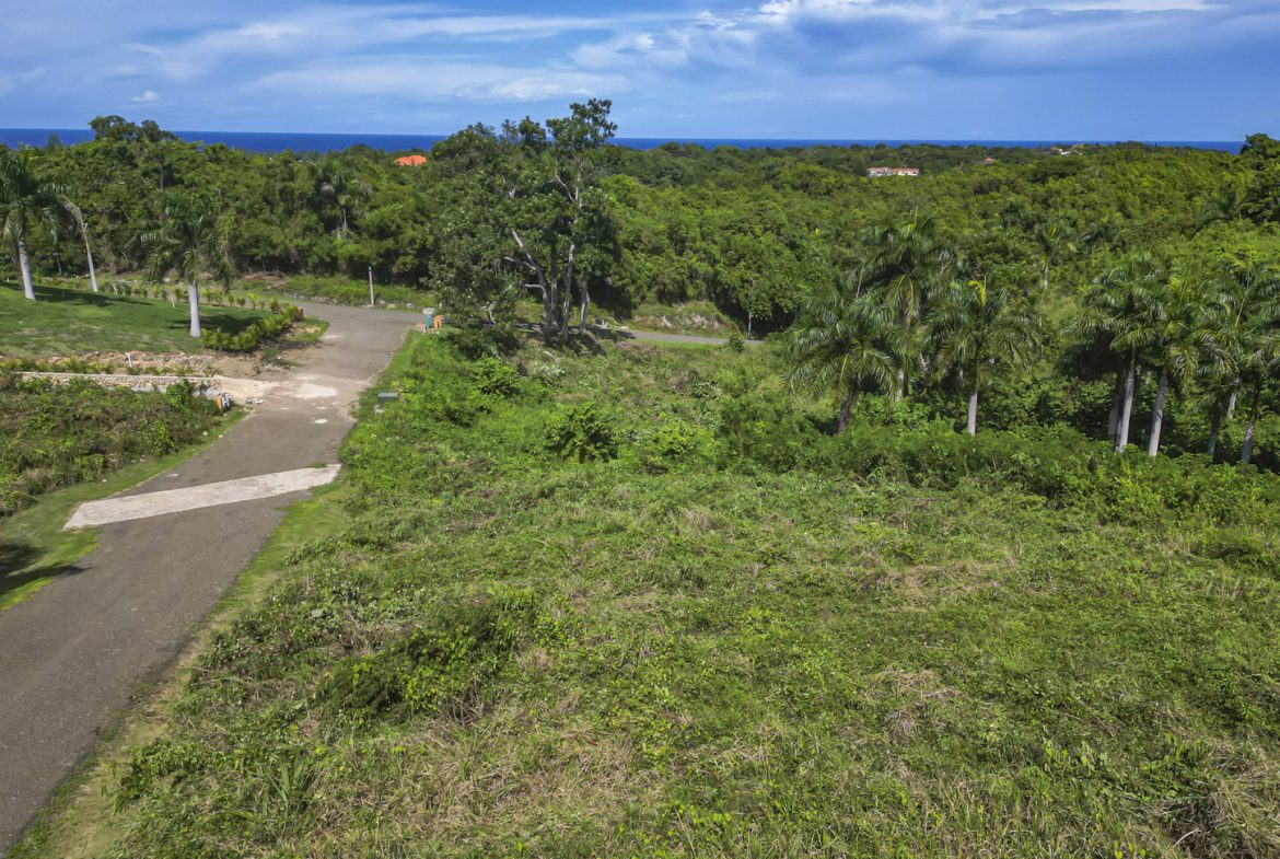 buyDRproperty Lush tropical landscape with palm trees, road, and ocean view in the distance. Sosua Real Estate