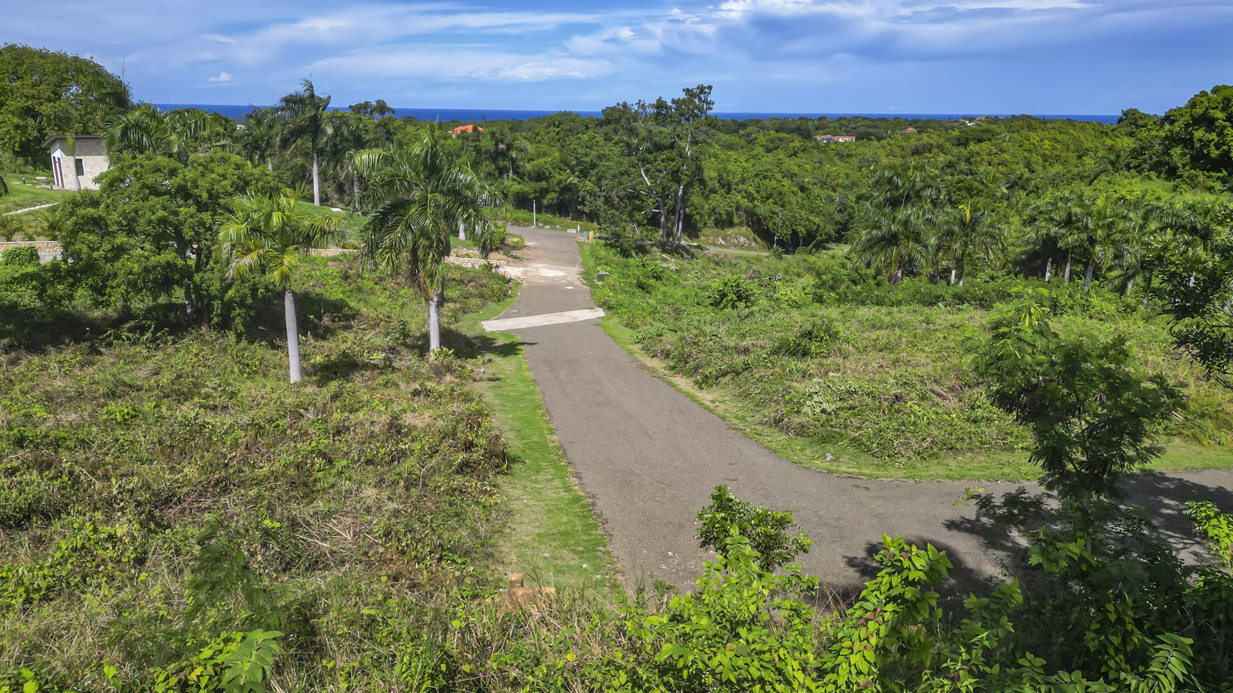buyDRproperty Tropical landscape with a road winding through lush greenery toward the ocean under a blue sky. Sosua Real Estate