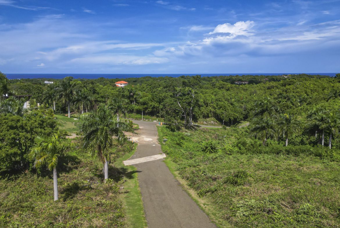 buyDRproperty Lush tropical landscape with palm trees, a winding road, and a glimpse of the ocean. Sosua Real Estate