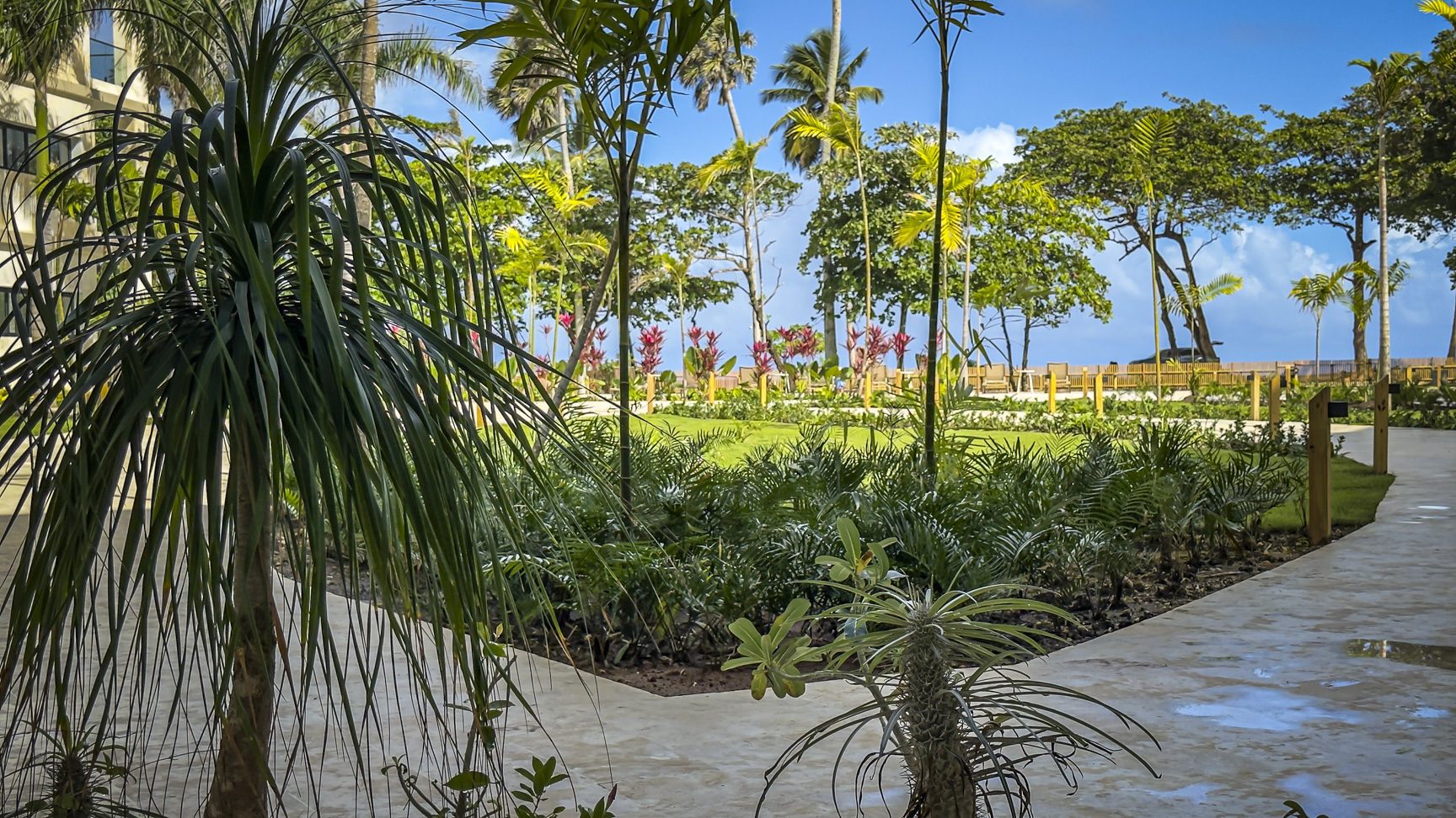 buyDRproperty Tropical resort garden with palm trees, lush greenery, and a glimpse of the ocean under a bright blue sky. Sosua Real Estate