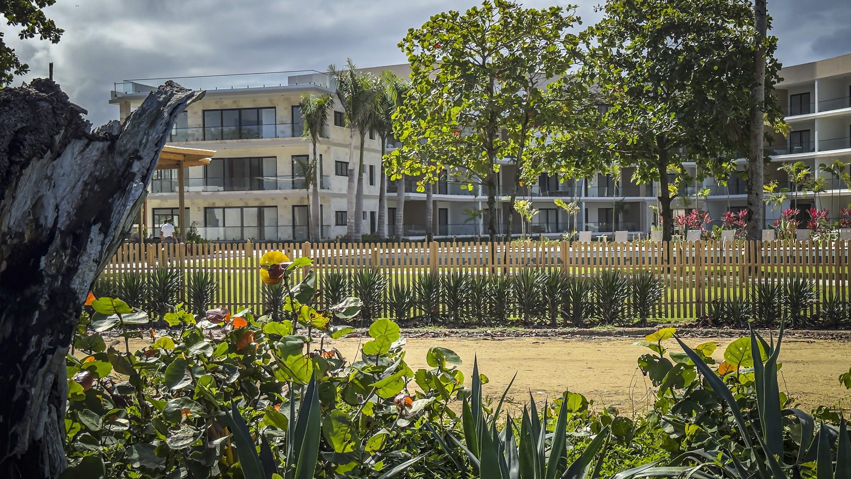 buyDRproperty Modern beachfront condo behind a wooden fence with tropical plants in the foreground. Sosua Real Estate