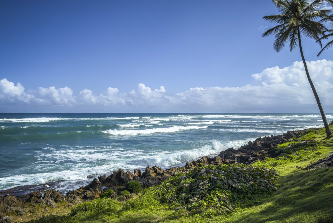 buyDRproperty Tropical beach scene with palm trees, turquoise waves, and rocky shoreline under a bright blue sky. Sosua Real Estate