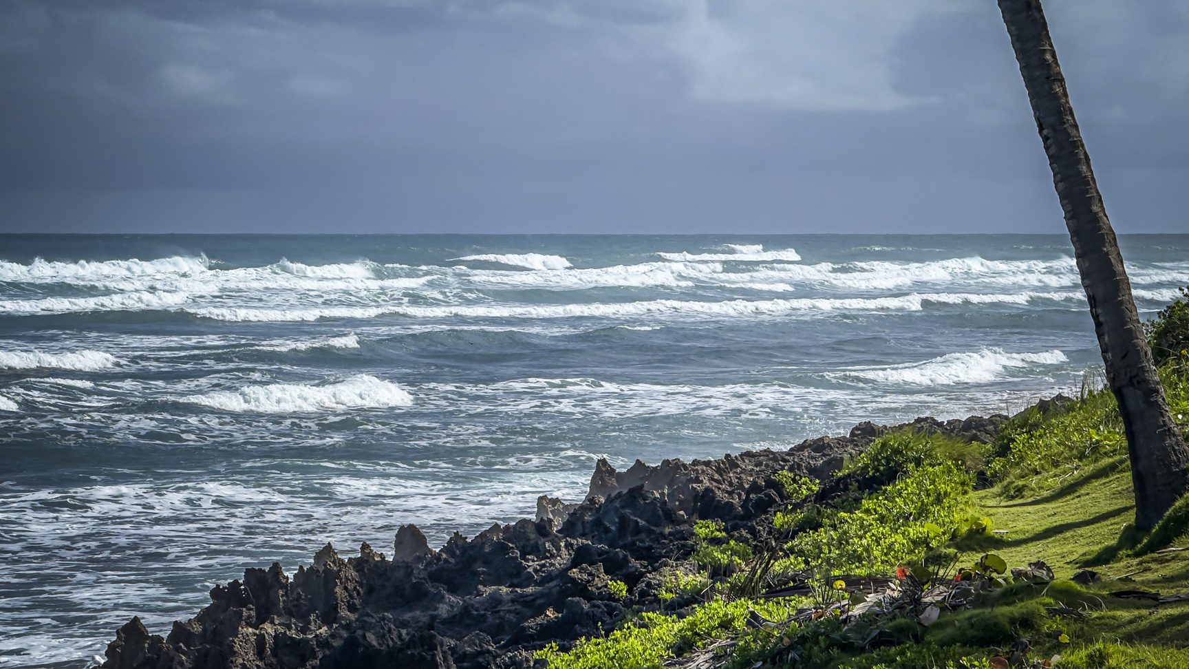 buyDRproperty Waves crashing on a rocky, green Hawaiian coastline under a cloudy sky. Palm tree on the right. Sosua Real Estate