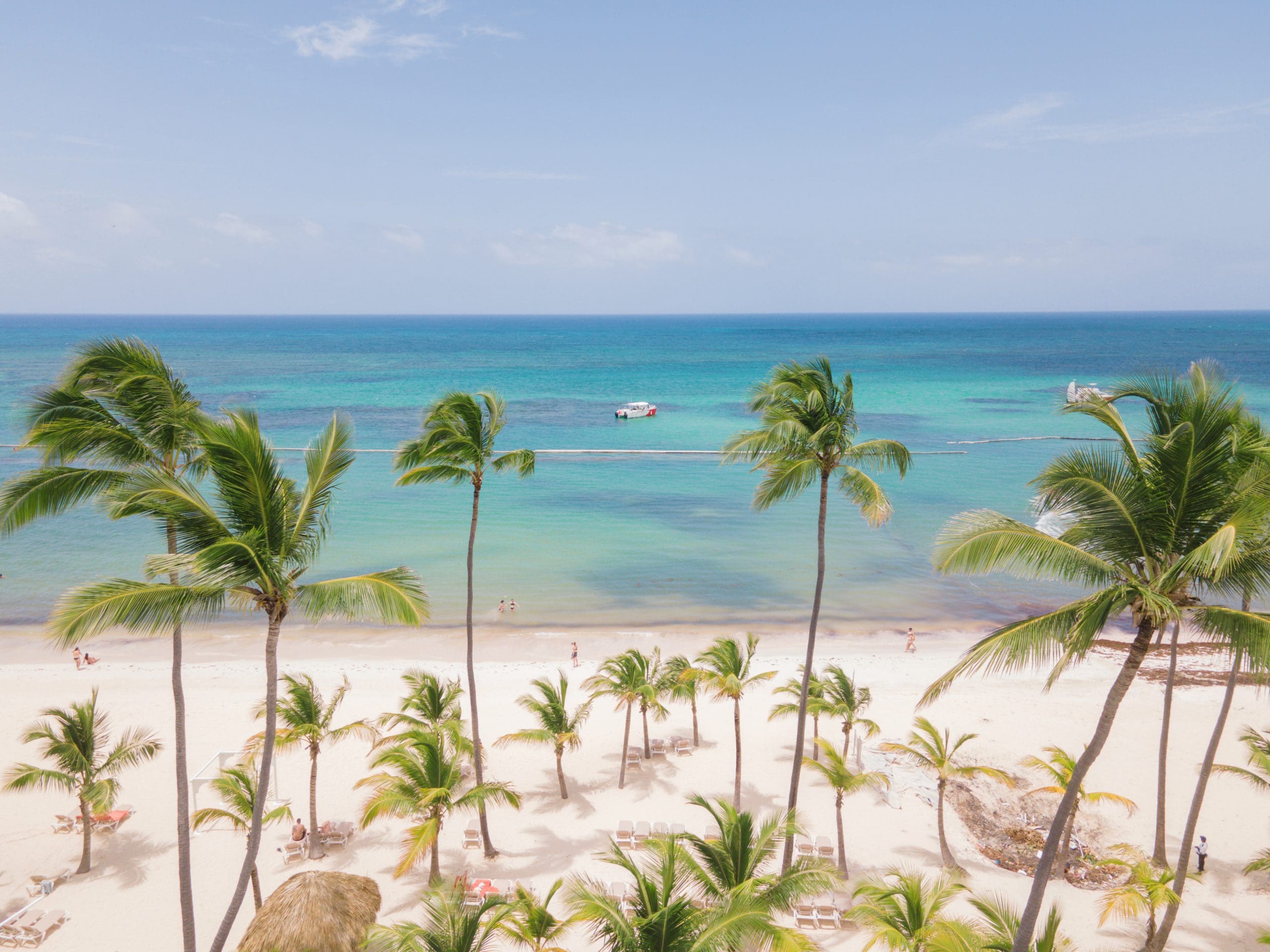 buyDRproperty Tropical beach with palm trees, white sand, turquoise water, and a boat in the distance. Sosua Real Estate