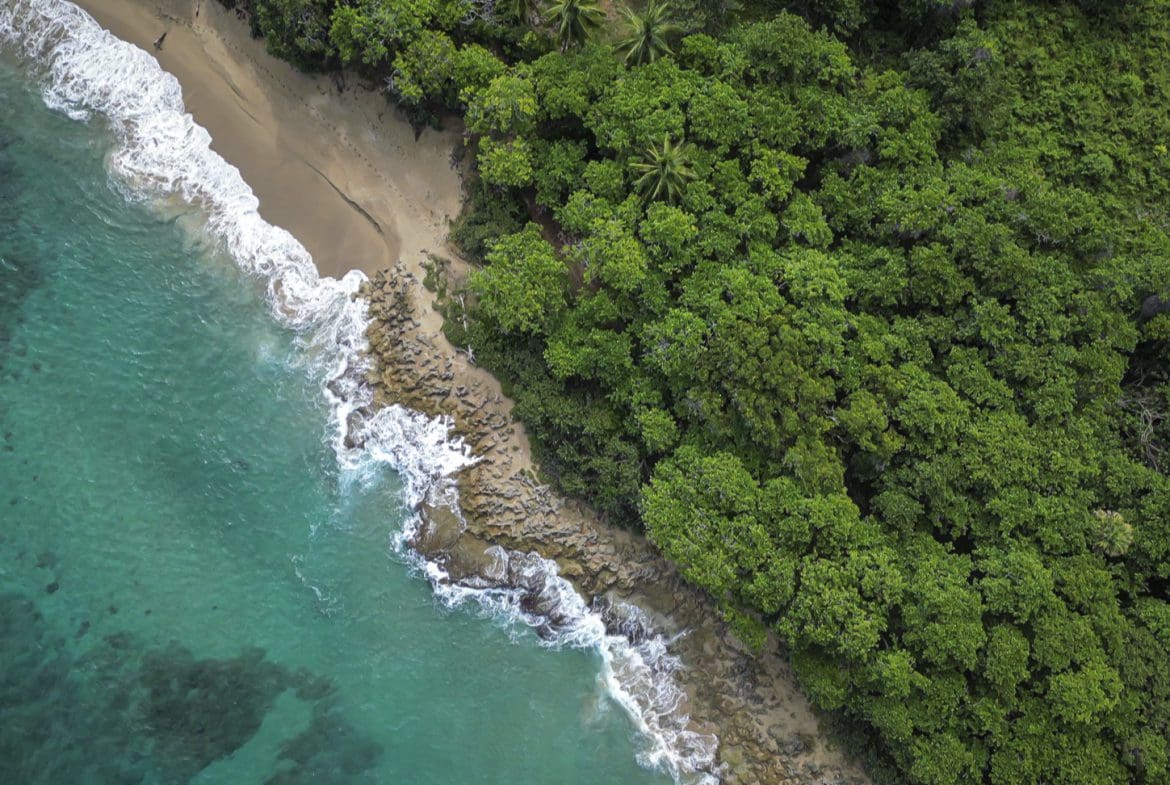 buyDRproperty Aerial view of a tropical beach with turquoise water, sandy shore, and lush green forest. Sosua Real Estate