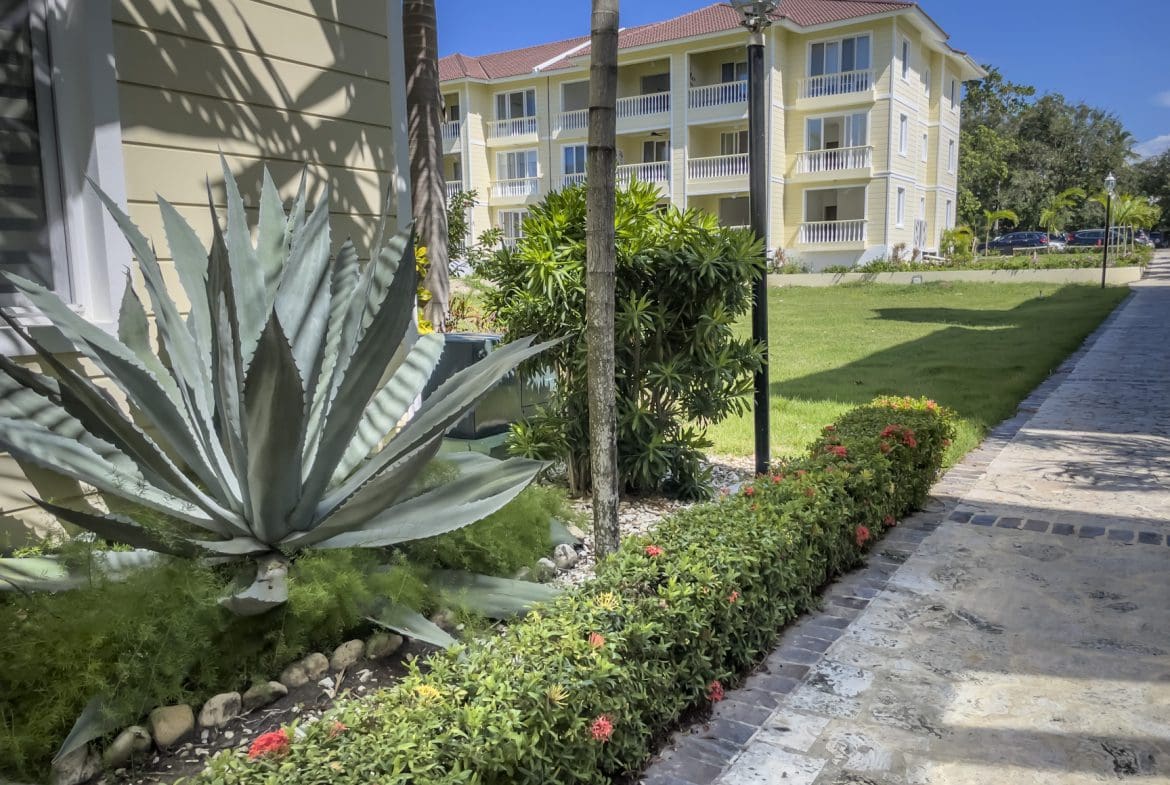 buyDRproperty Tropical resort exterior with agave plant, manicured lawn, and yellow condo building under a clear blue sky. Sosua Real Estate
