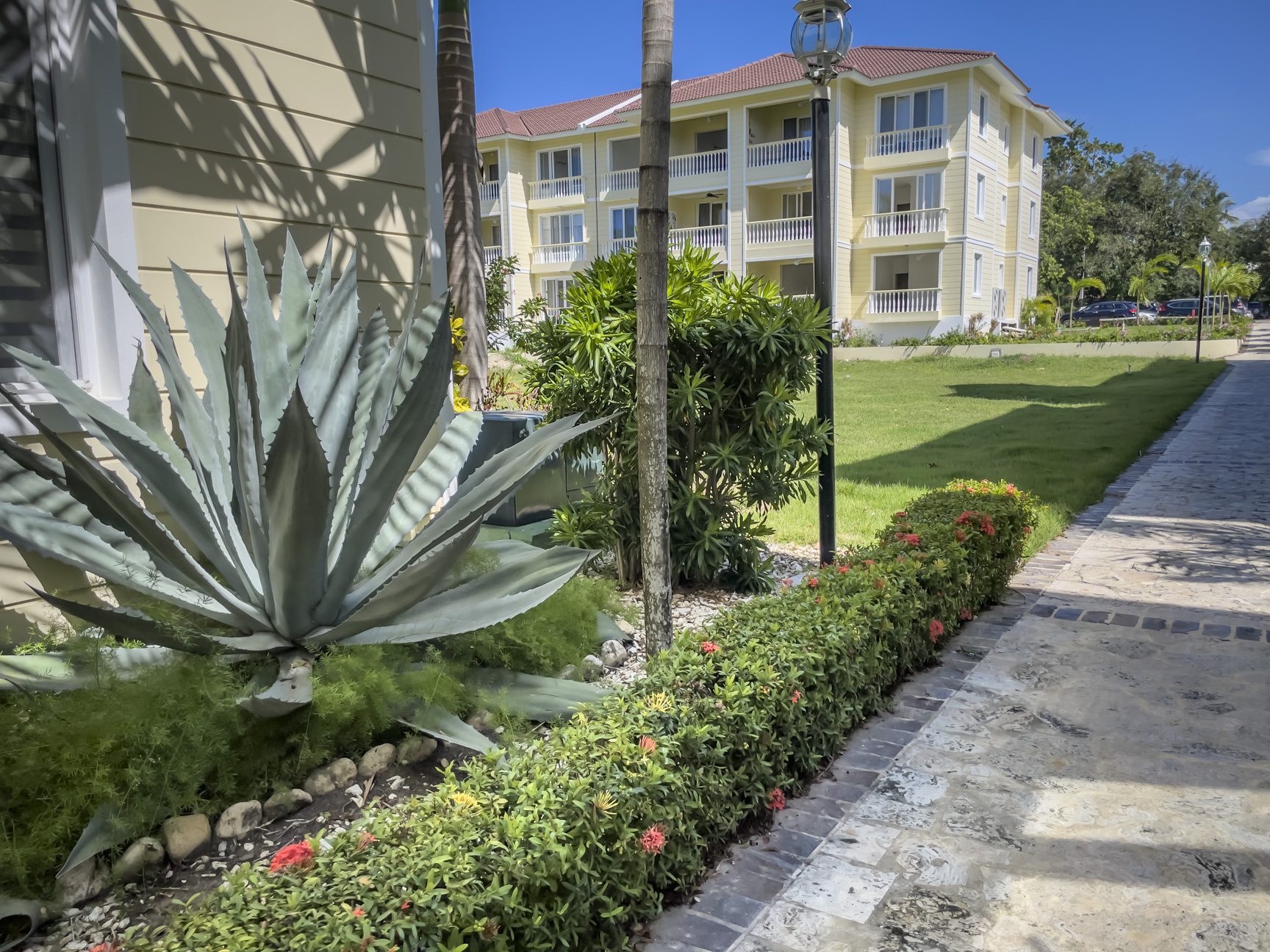 buyDRproperty Tropical resort exterior with agave plant, manicured lawn, and yellow condo building under a clear blue sky. Sosua Real Estate