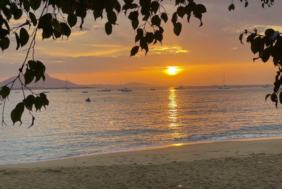 buyDRproperty Golden sunset over tropical beach with boats, framed by tree branches. Sosua Real Estate