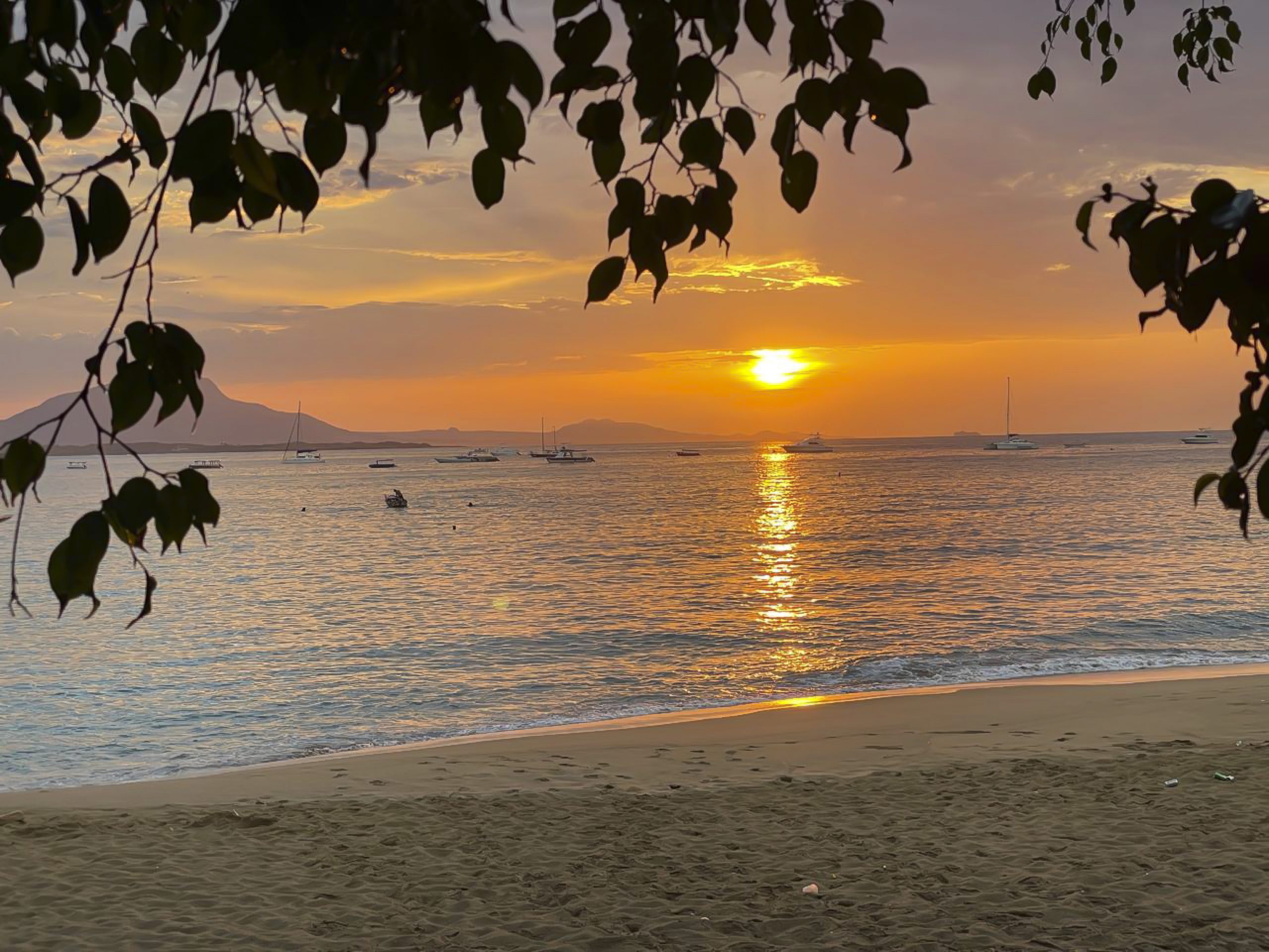 buyDRproperty Golden sunset over tropical beach with boats, framed by tree branches. Sosua Real Estate