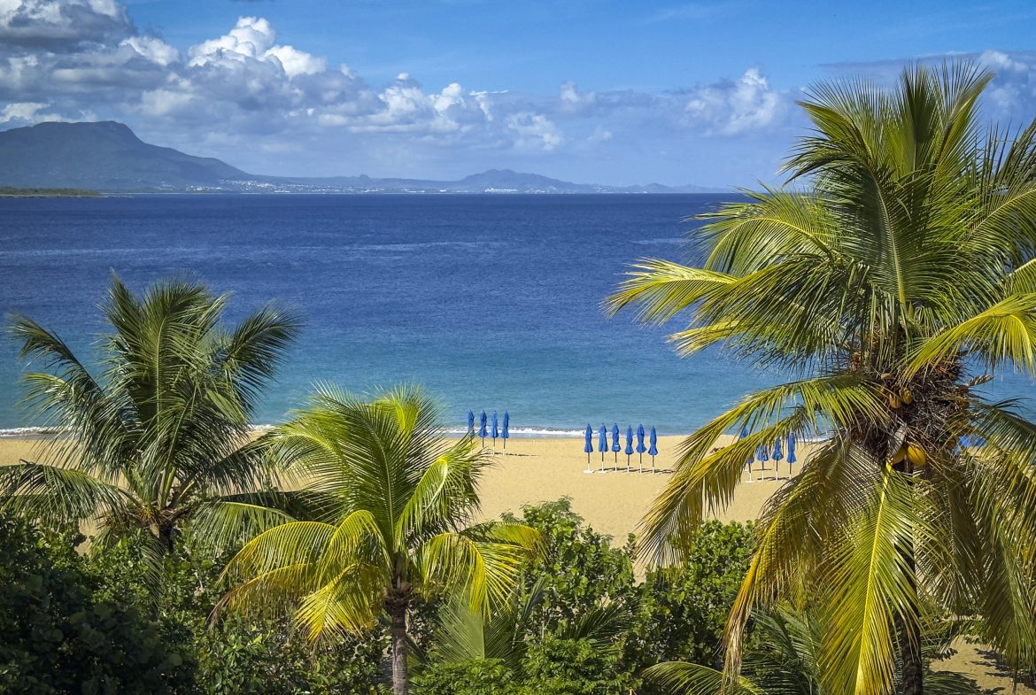 buyDRproperty Tropical beach with palm trees and blue umbrellas, mountain backdrop Sosua Real Estate