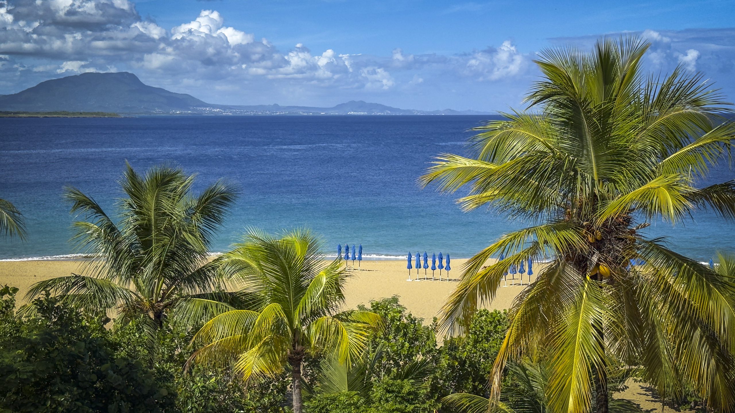 buyDRproperty Tropical beach with palm trees and blue umbrellas, mountain backdrop Sosua Real Estate