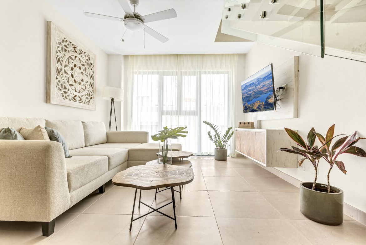 buyDRproperty Fluffy Persian cat with striking blue eyes sits on a velvet cushion. #PersianCat Sosua Real Estate