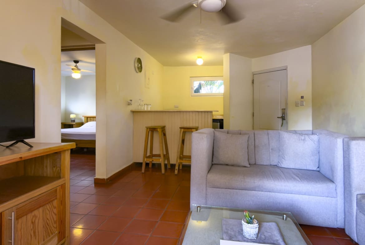 buyDRproperty Living room with gray sofa, bar, and view of bedroom Sosua Real Estate
