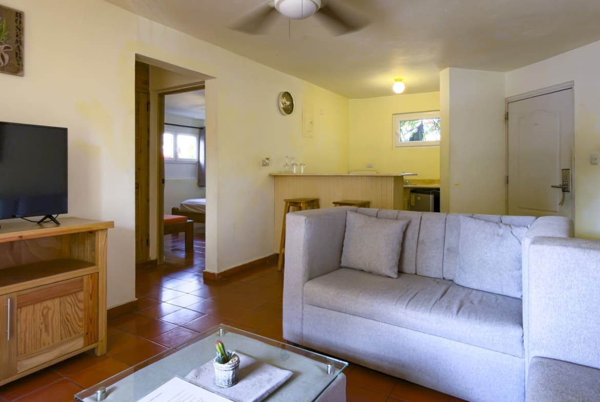 buyDRproperty Living room with sofa, TV, and kitchen counter, opening to a bedroom. Sosua Real Estate