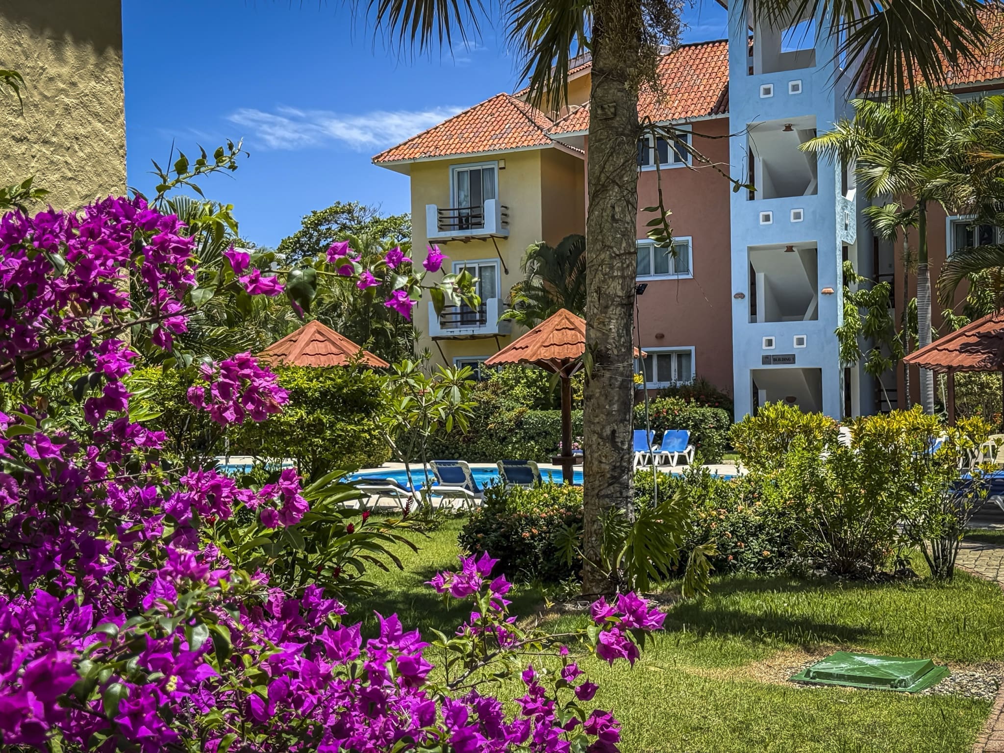 buyDRproperty Vibrant purple bougainvillea in front of a tropical resort with colorful buildings and pool. Sosua Real Estate