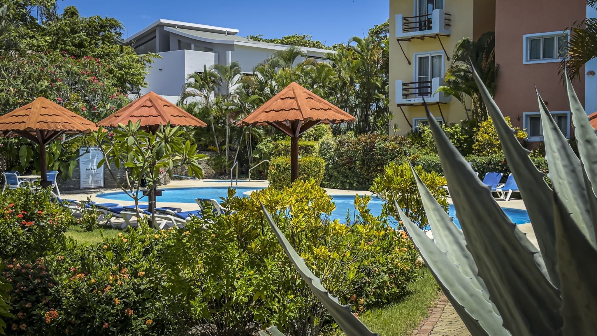 Poolside at a tropical resort with orange thatched umbrellas, lounge chairs, and lush greenery around a bright blue pool.