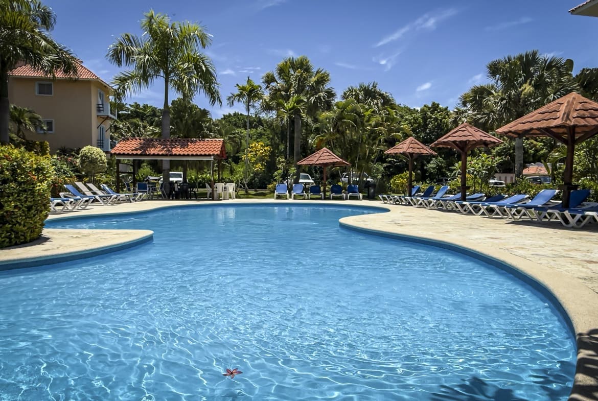Curved resort pool with blue water, tan deck, and rows of blue lounge chairs under palm trees on a sunny day.