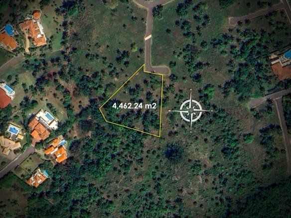Aerial view of a yellow-outlined parcel measuring 4,462.24 m2 amid palm trees and nearby homes.