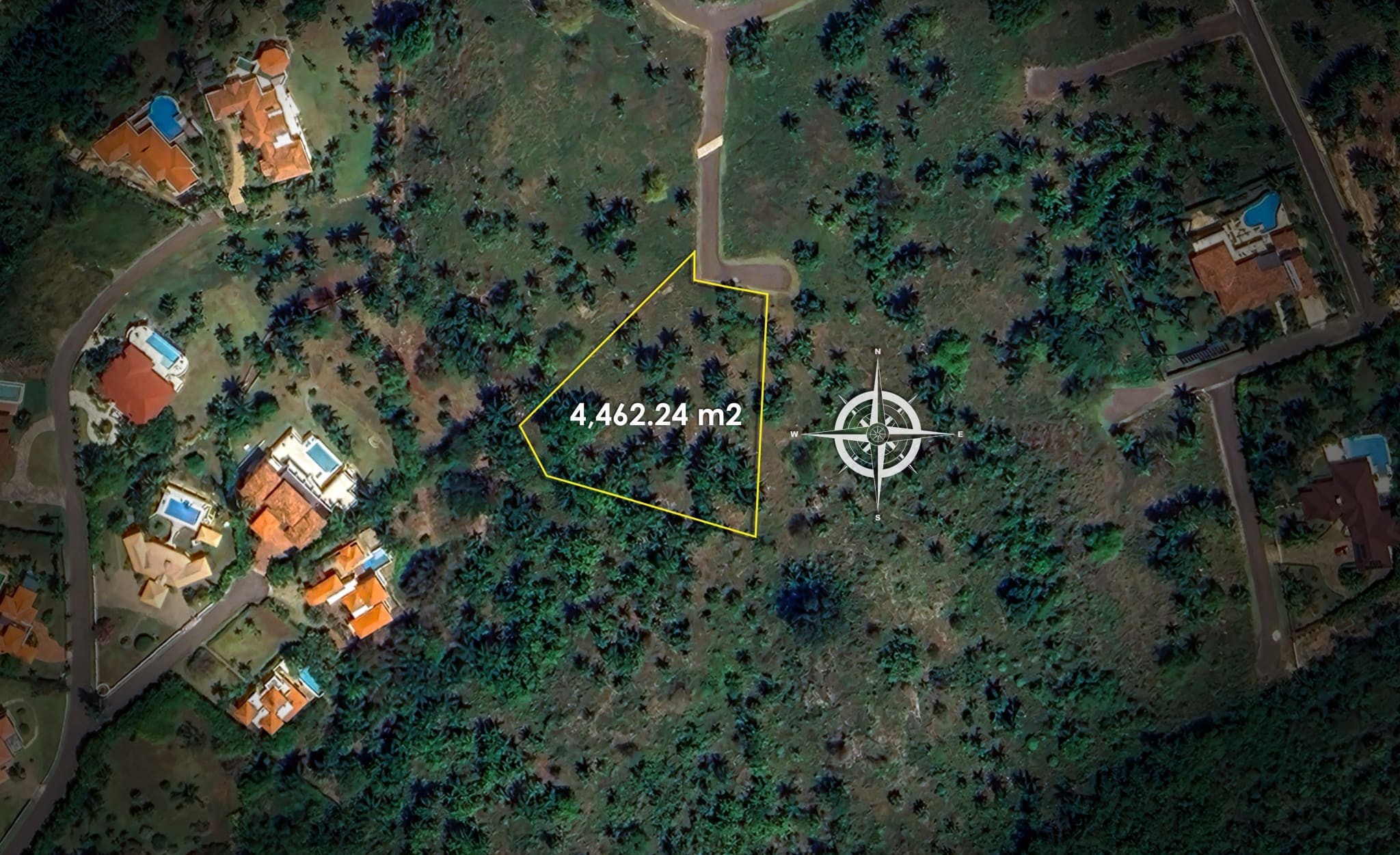 Aerial view of a yellow-outlined parcel measuring 4,462.24 m2 amid palm trees and nearby homes.