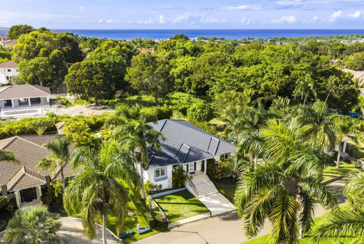 Aerial view of a white house with a gray roof surrounded by palm trees, with the ocean visible in the distance.