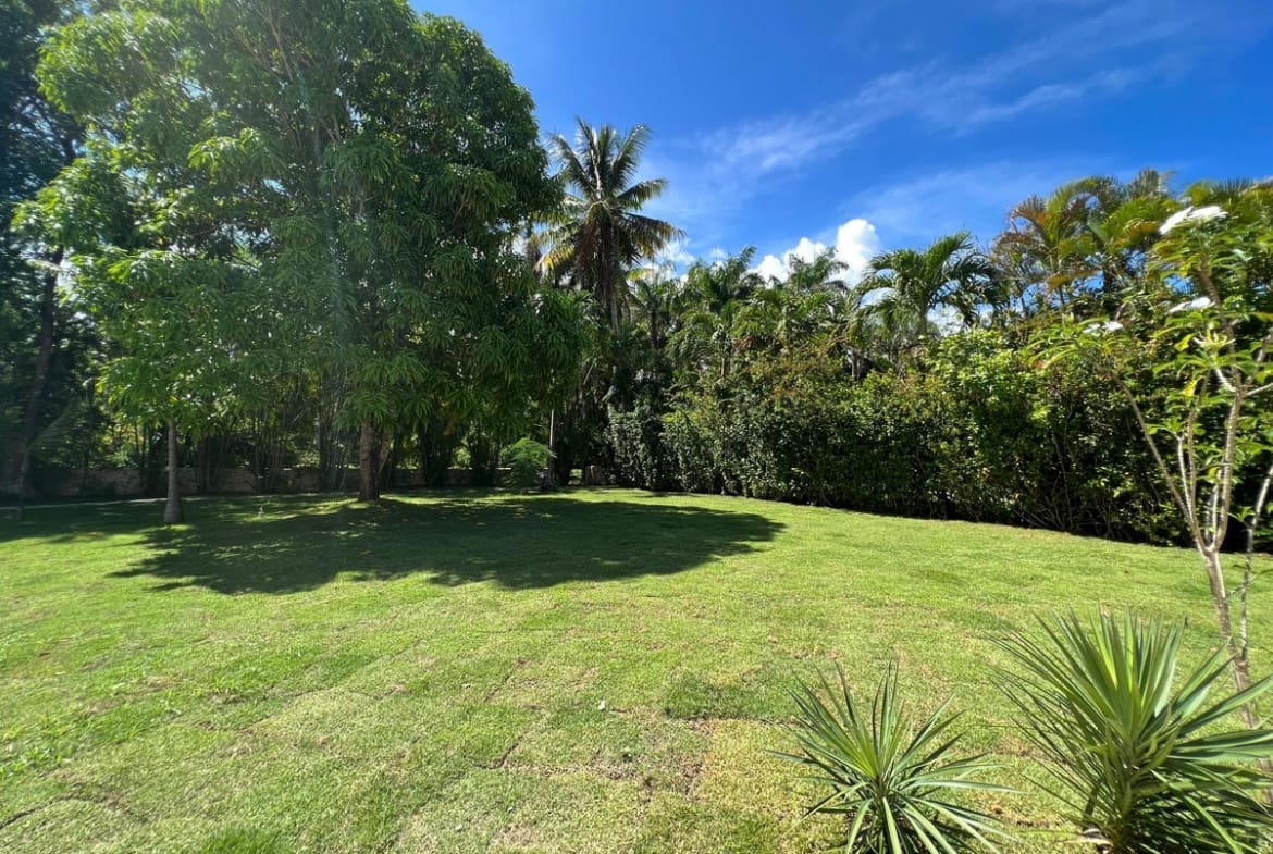 buyDRproperty Lush green lawn with tropical trees and a bright blue sky. Sosua Real Estate
