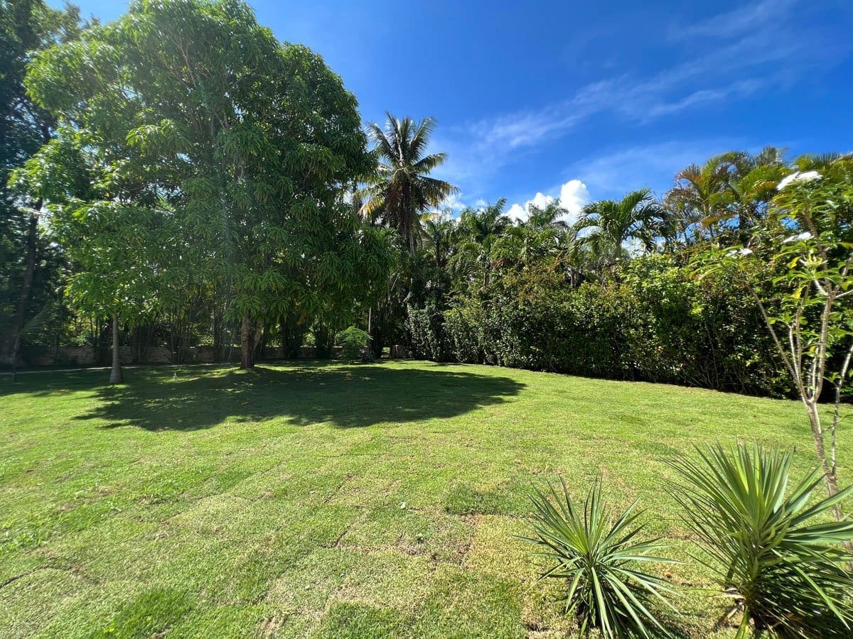 buyDRproperty Lush green lawn with tropical trees and a bright blue sky. Sosua Real Estate